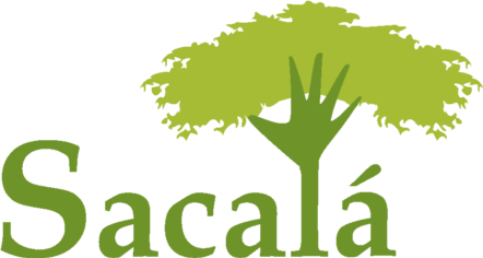 Sacala es la unidad de negocio de productos de madera y decoración..